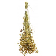 Ramillete de semillas de lino