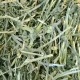 Oxbow Heno de alfalfa (2 tamaños)