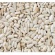 Pipas de girasol blancas 2 kg