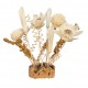 Natural Shredding Millet Holder