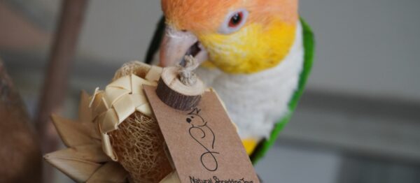 Natural Shredding Bundle - Imagen 2