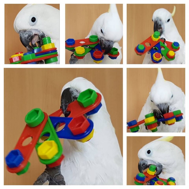 Abanico de tornillos