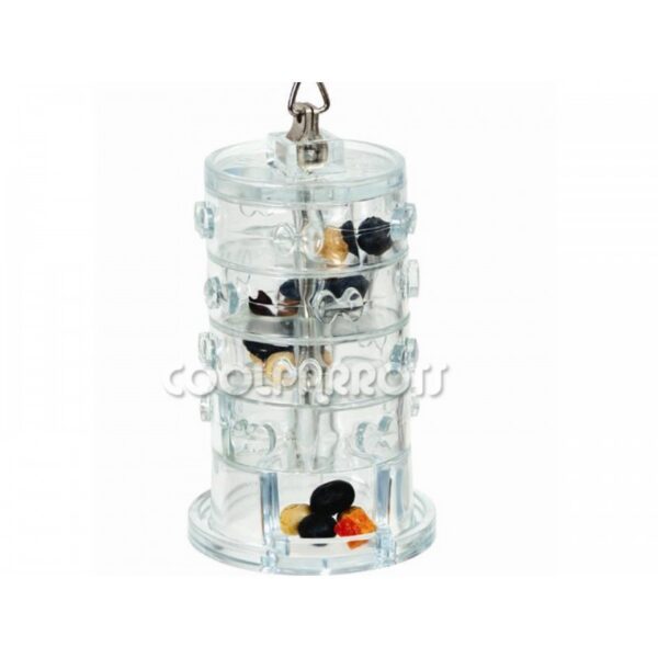 Anillos de la fortuna - Imagen 2