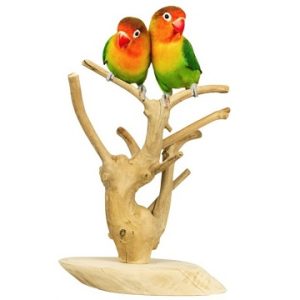 Árbol Java mini de sobremesa