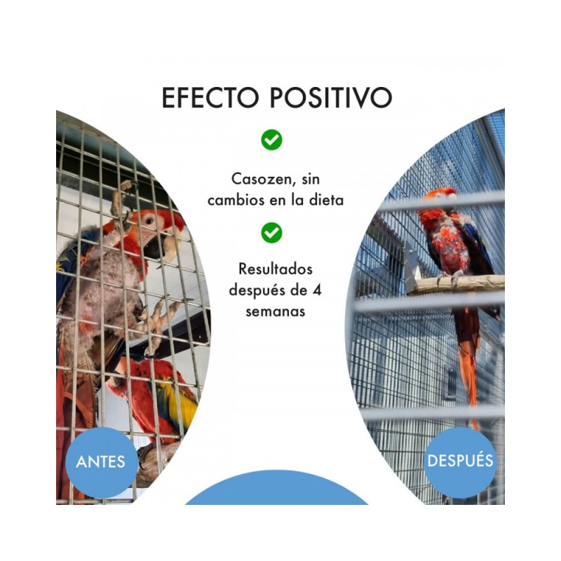 Casozen Anti picaje y Anti estrés - Imagen 4