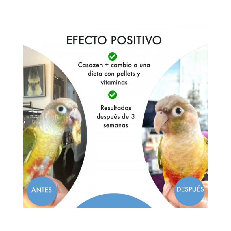 Casozen Anti picaje y Anti estrés - Imagen 3