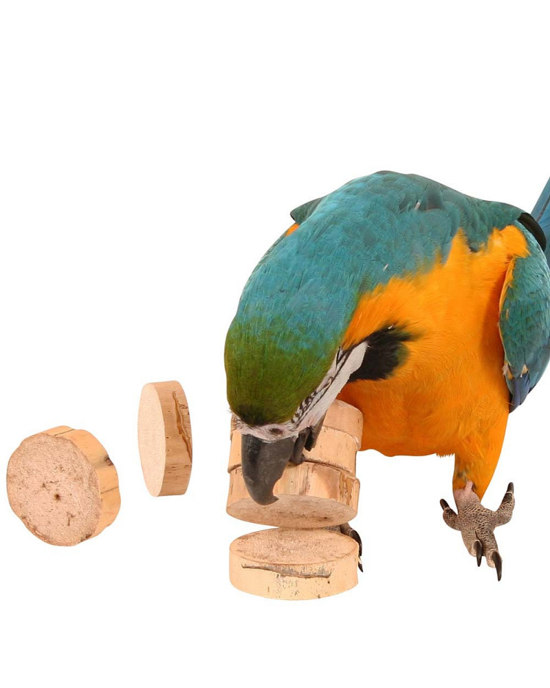 Chips de yuca Bird Kabob - Imagen 2