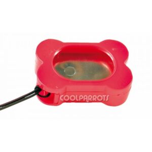 Clicker hueso