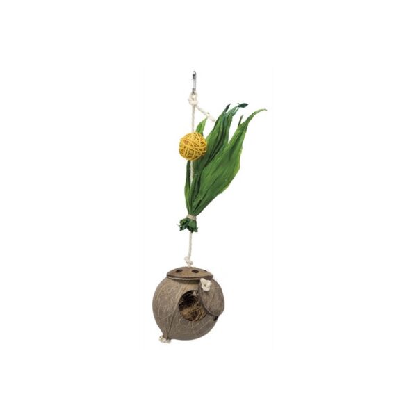 Coco colgante