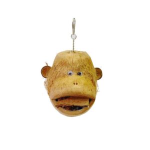 Coco monkey