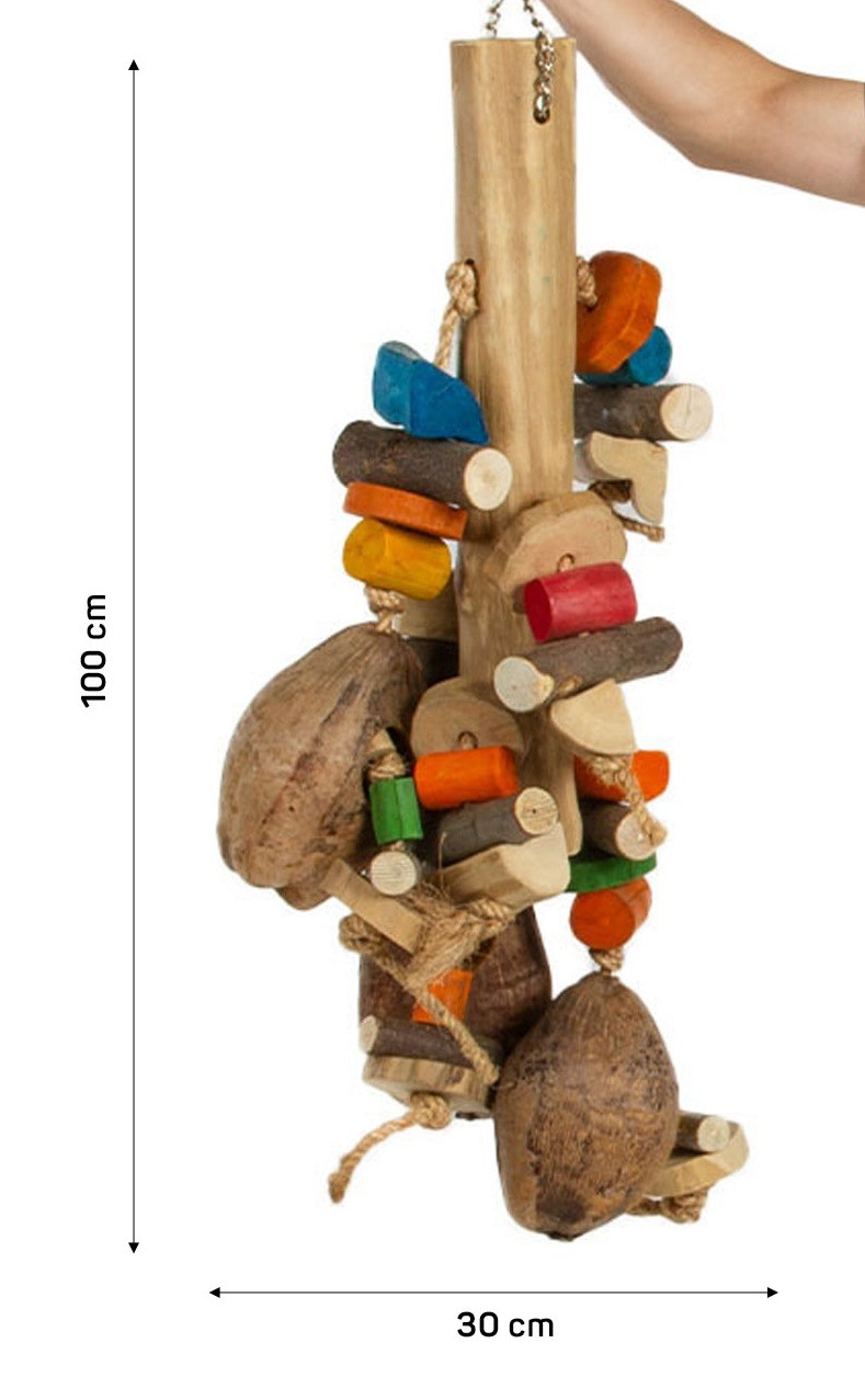 Java Colosal Coconut - Imagen 2