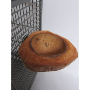 Comedero coco con soporte
