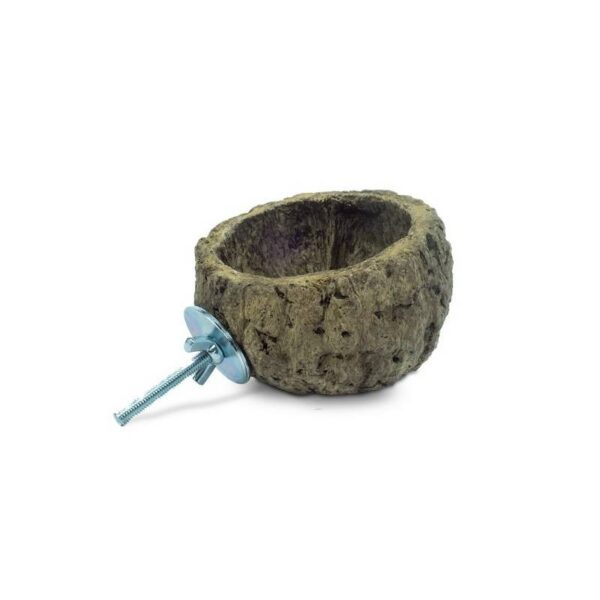 Comedero natural Discovery Bowl - Imagen 2
