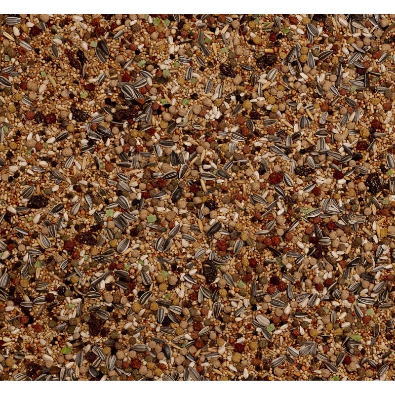 Deli Nature Birdelicious Cotorras Amazónicas 800 grs. - Imagen 2