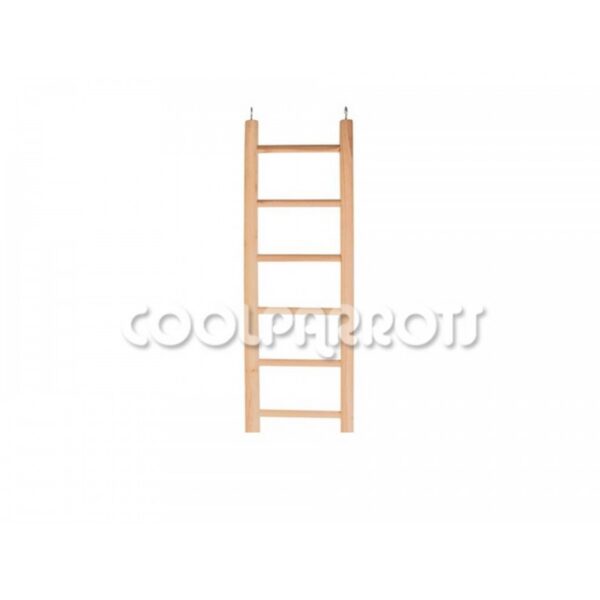 Escalera pequeños loros