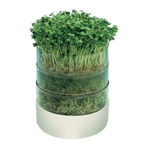 Germinador para semillas