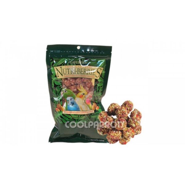 Lafeber Nutri-berries fruta tropical pequeñas aves 300 grs.