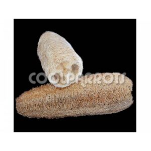 Loofa