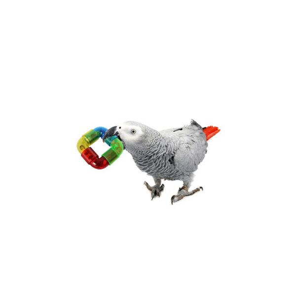 Maraca aro - Imagen 3