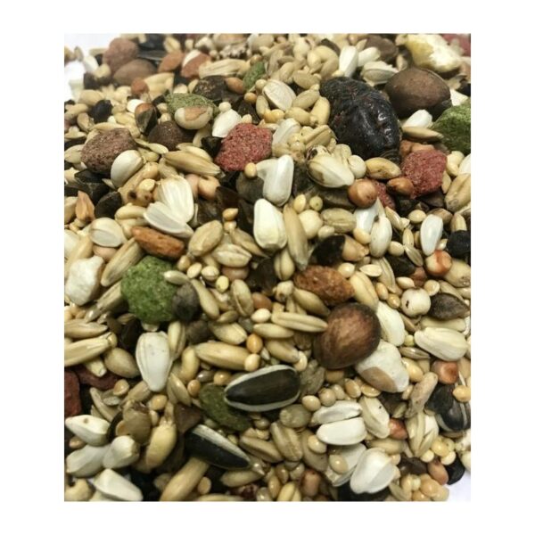 Mixtura Loro Parque loros australianos 1 kg - Imagen 2