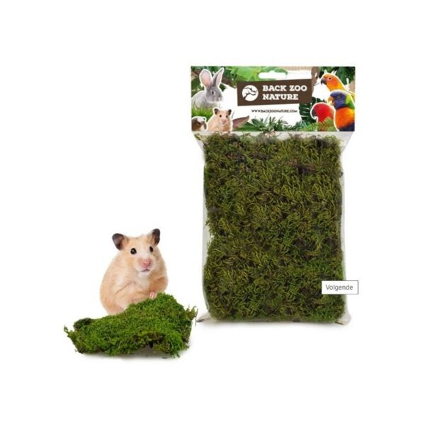 Musgo natural - Imagen 2