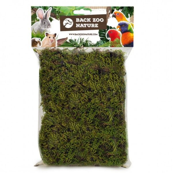 Musgo natural - Imagen 3