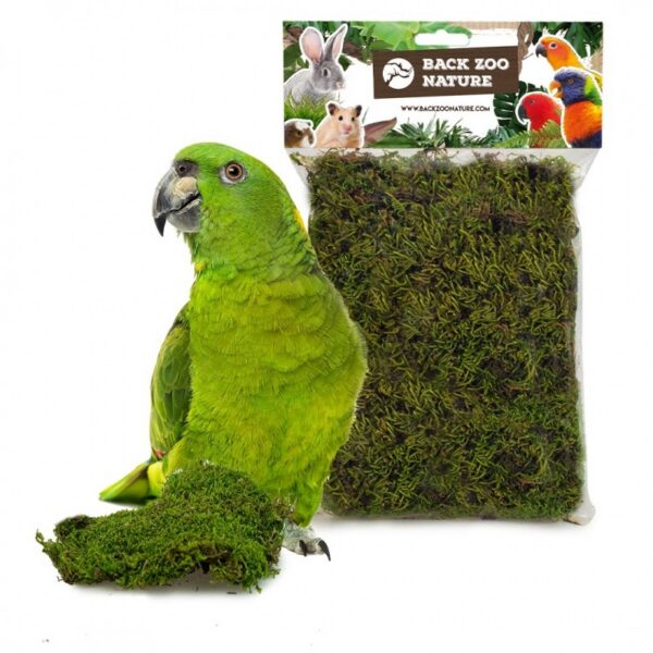 Musgo natural