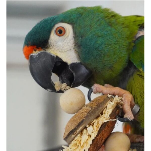 Natural Shredding Macaron - Imagen 2
