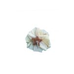 natural-shredding-star (1)