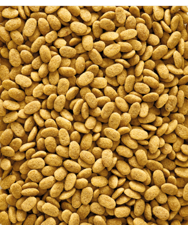 Pienso para loros medianos y grandes Nutribird p15 original - Imagen 2