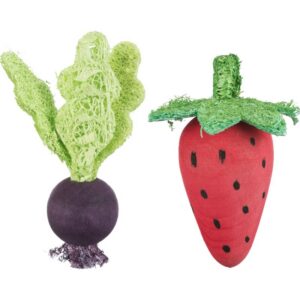 Pack de 2 juguetes para roer