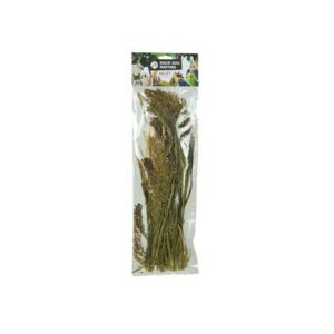 Panicum en espiga