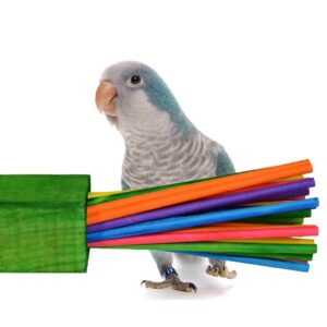 Paper party