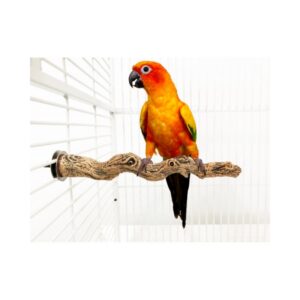 Percha Jungle pequeña