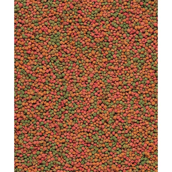 Pienso para loros pequeños NutriBird B14 - Imagen 3