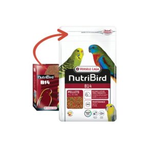 Pienso para loros pequeños NutriBird B14