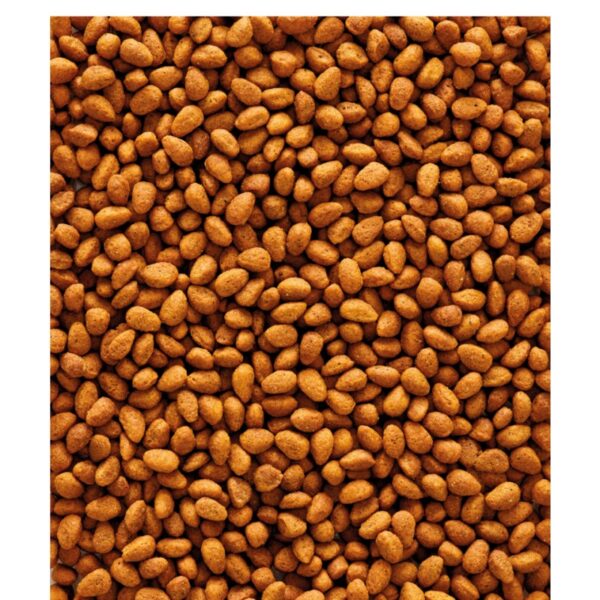 Pienso para ninfas y agapornis Nutribird G14 original 2 tamaños - Imagen 3