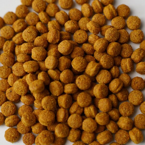 Pienso Your Parrot Herbal - Imagen 2