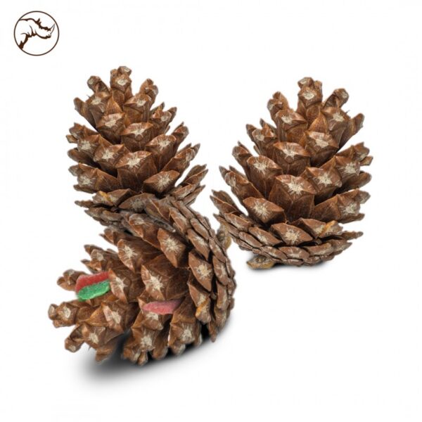 Piñas (6 piezas) - Imagen 2