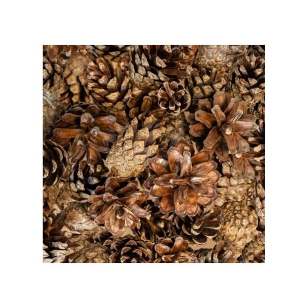 Piñas mini 300 grs. - Imagen 2