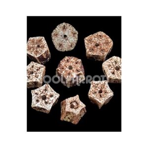 Rueda de fruto de la caoba seco