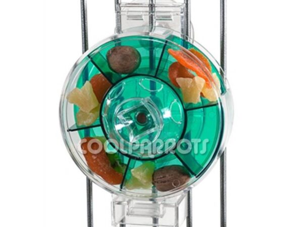 Rueda interactiva grande