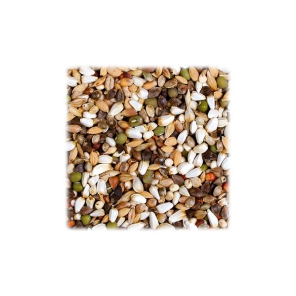 Semillas para germinar para loros 1 kg - Imagen 2