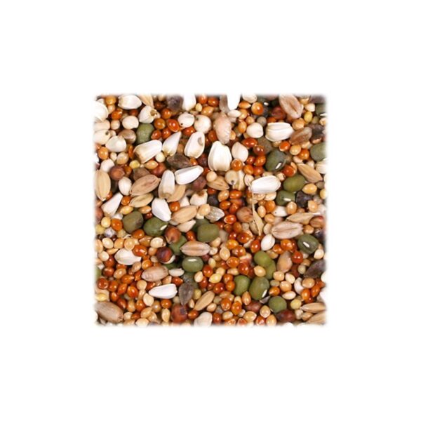 Semillas para germinar para ninfas y cotorras 1 kg - Imagen 2