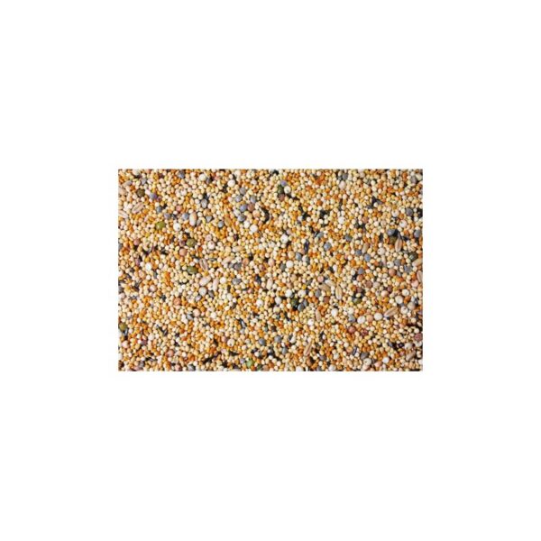Semillas para germinar para periquitos y carnarios 1 kg - Imagen 2