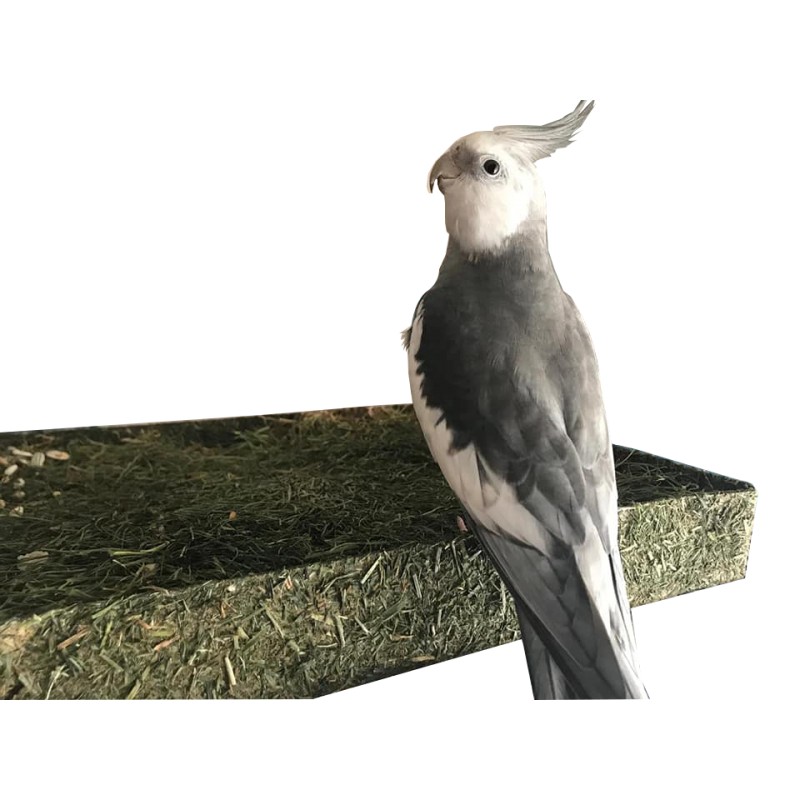 Tapete de hierba con semillas para forrajear - Imagen 4