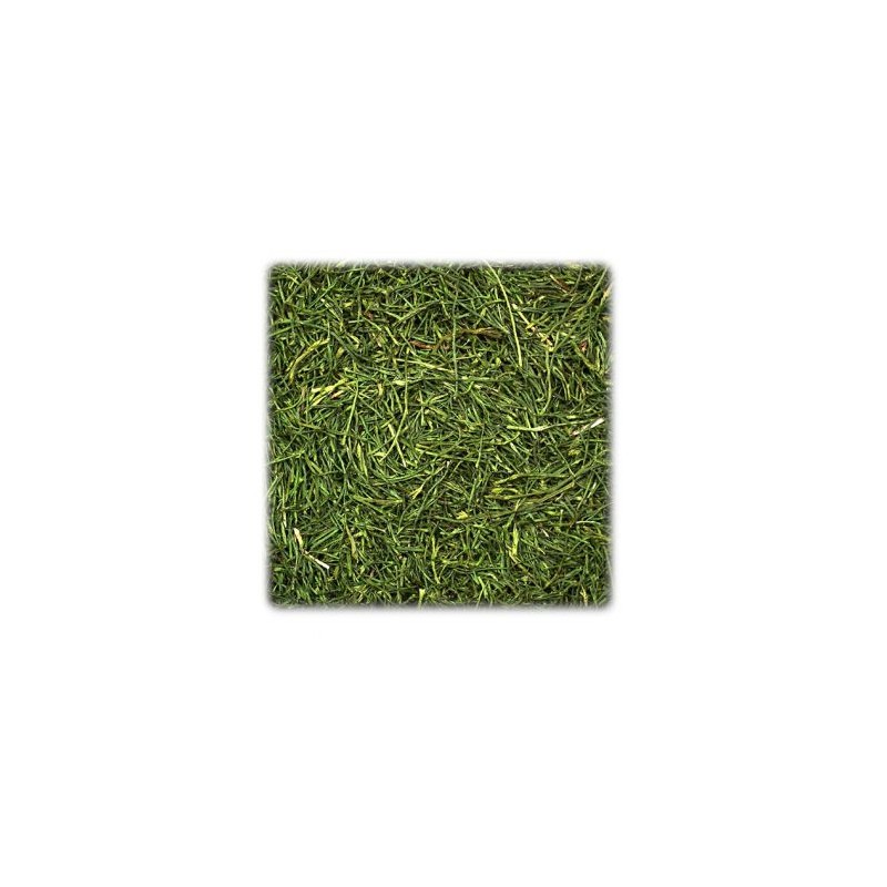 Tapete de hierba con semillas para forrajear - Imagen 3