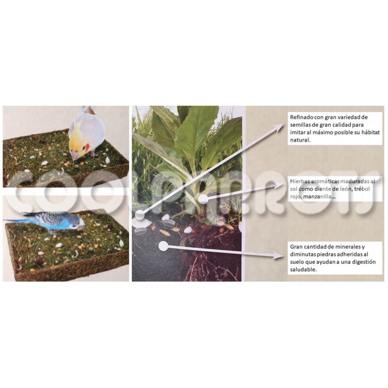 Tapete de hierba con semillas para forrajear - Imagen 2