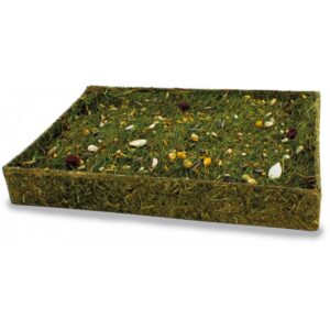 Tapete de hierba con semillas para forrajear