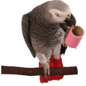 Tubo de grueso cartón